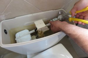 Most Common Needs for Toilet Repairs